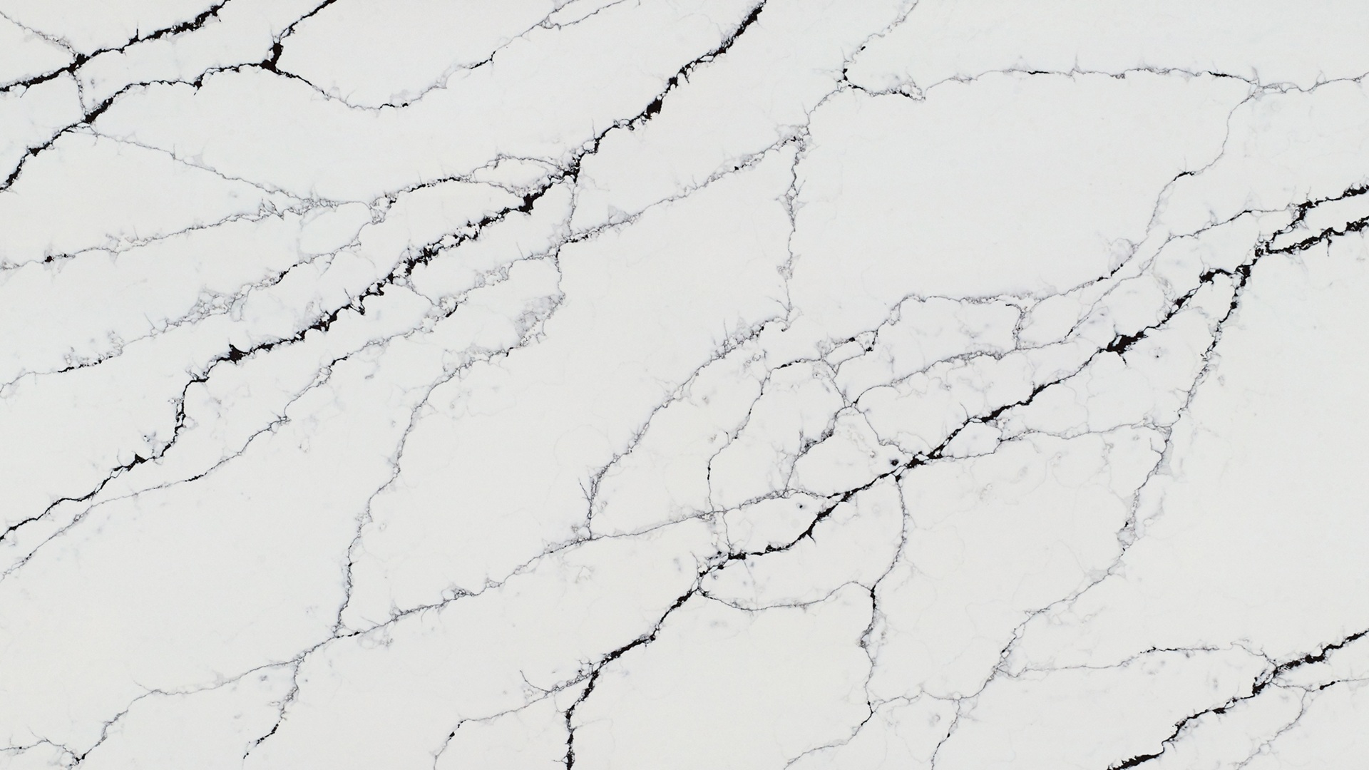 Classic Quartz Calacatta Noir Worktop