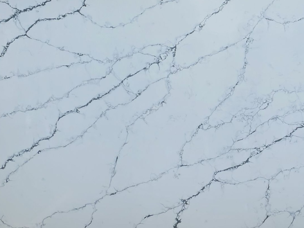 Calacatta Noir Classic Quartz video thumbnail — crisp white base with striking deep black veins