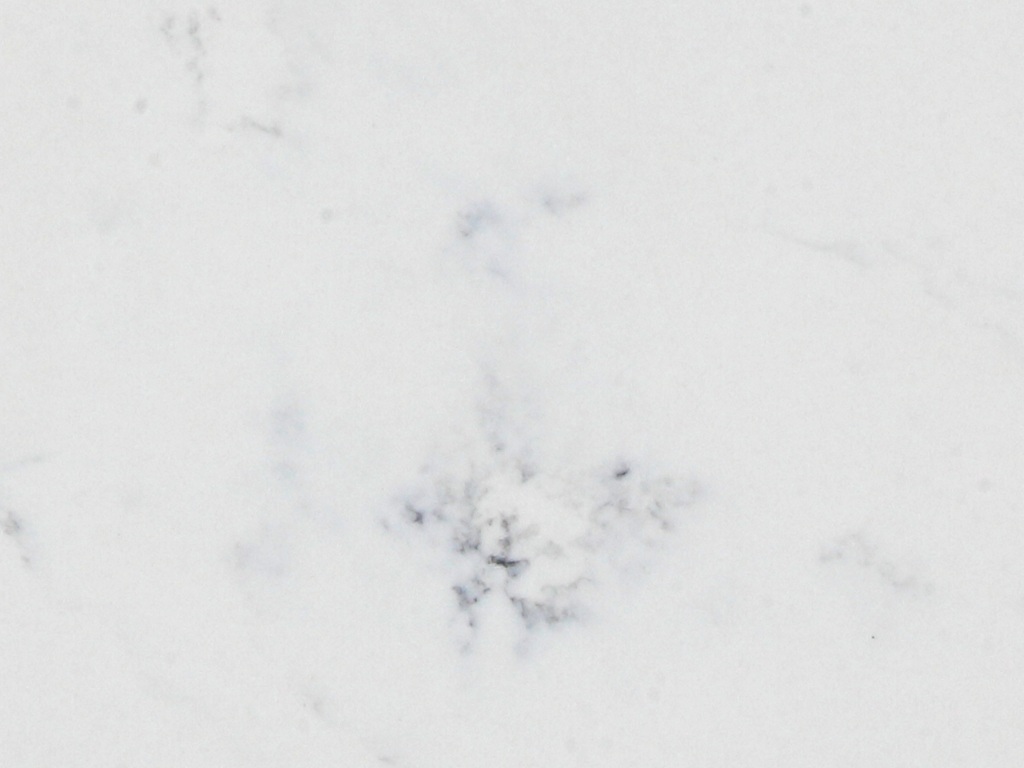 San Vincente Classic Quartz worktop slab video thumbnail showing colour and texture