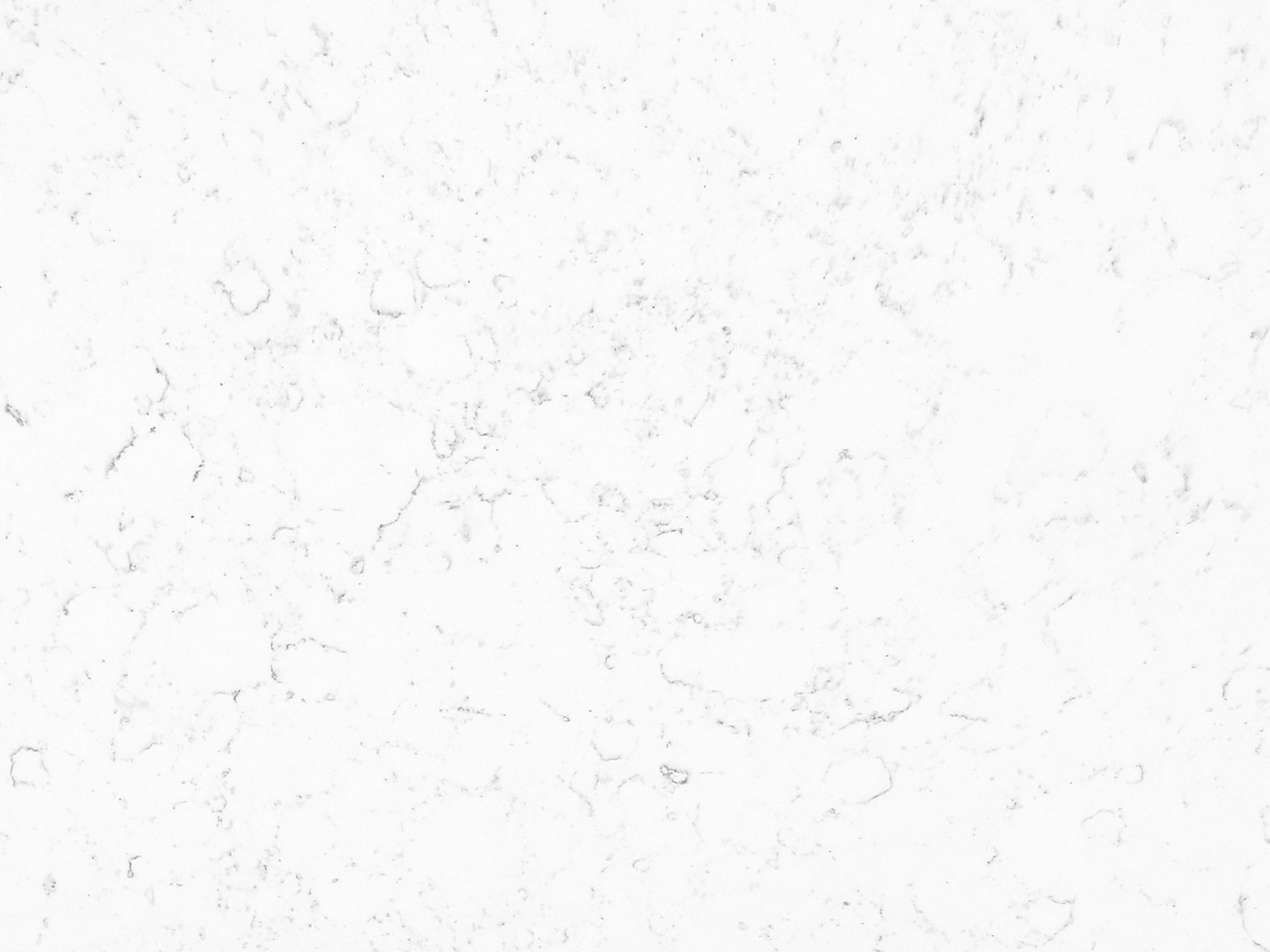 Carrara Mist Quartz Nile Stone