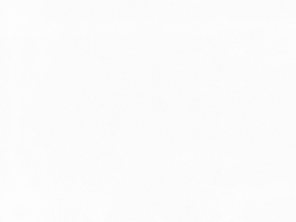 Classic White Quartz Nile Stone