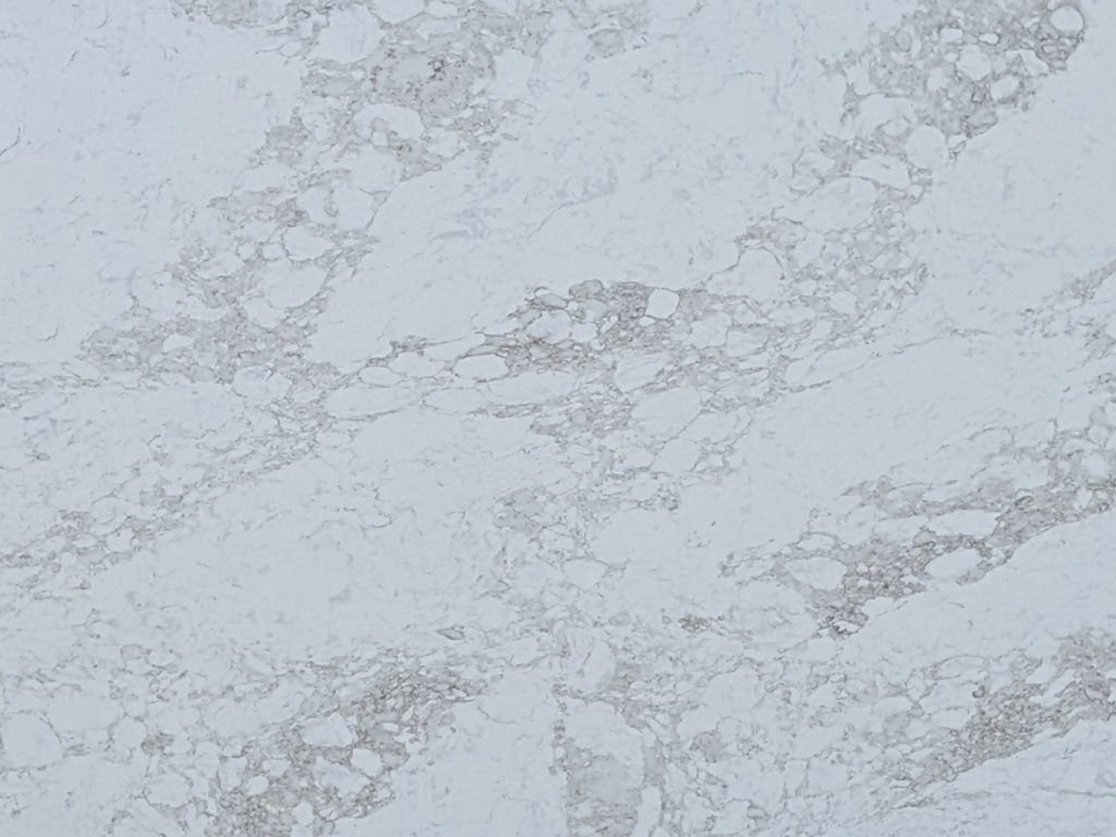 Arabescato Shimmer Quartz Noble Stone